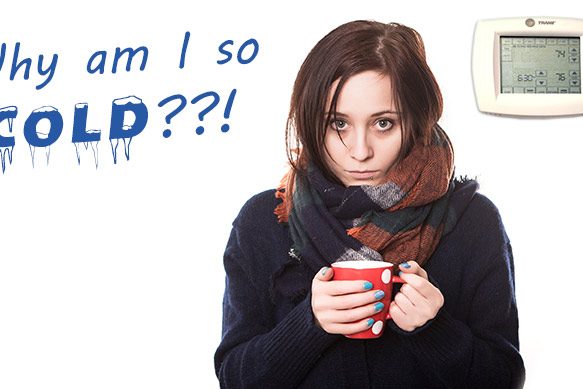 socold Eco Insulation - Why am i so cold?